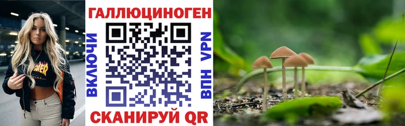 МЕГА вход  Кумертау  Псилоцибиновые грибы GOLDEN TEACHER 